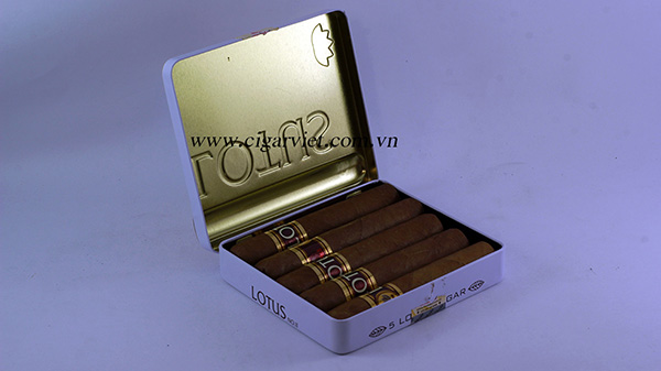 Cigar LUTUS no2