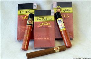 Cigar Lotus  no5