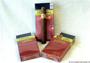 Cigar Lotus  no5